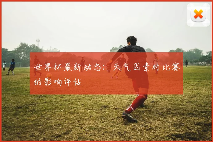 世界杯最新动态：天气因素对比赛的影响评估
